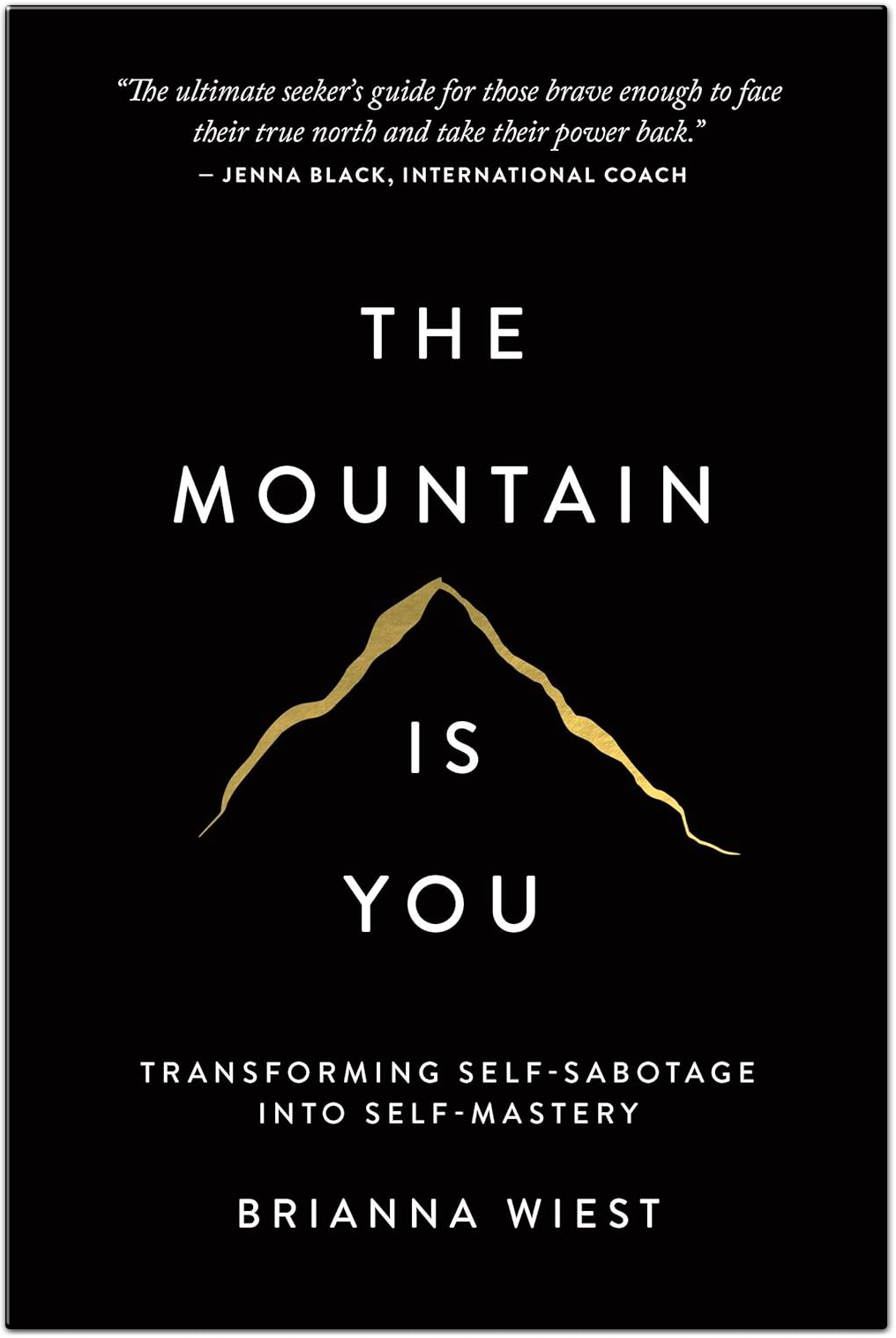 The Mountain Is You by Brianna Wiest Book Summary