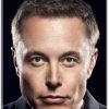 Book Summary and Insights from Elon Musk by Walter Isaacson