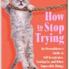 How to Stop Trying A Guide to Self-Acceptance and Letting Go by Kate Williams – Book Summary