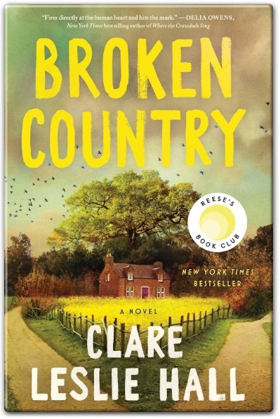 Summary of Broken Country by Clare Leslie Hall: A Tale of Love, Loss, and Mystery