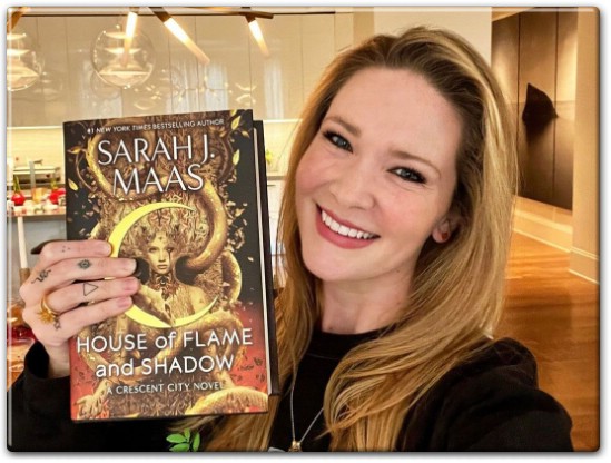House of Flame and Shadow Summary