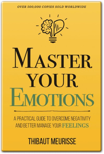 Master Your Emotions by Thibaut Meurisse Summary