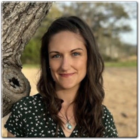 Party of Liars by Kelsey Cox Summary and Review
