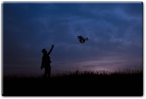 The Art of Letting Go 5 Powerful Life Principles for Emotional Freedom and Self-Growth