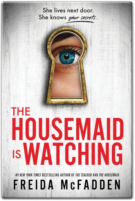 The Housemaid Is Watching Summary